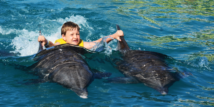 Vallarta Dolphin Kids