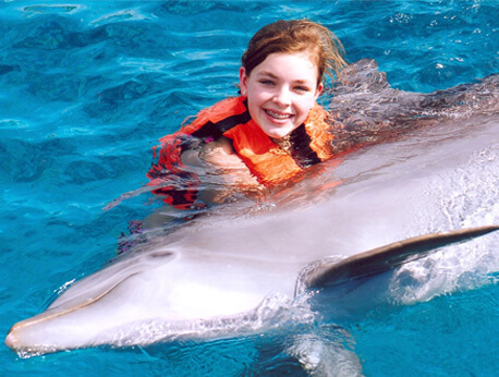 Nuevo Vallarta - Dolphin Swim Experience