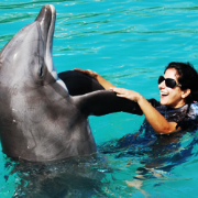 Dolphin Trainer For A Day