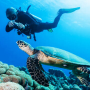 Marietas Islands Sailing & Snorkeling