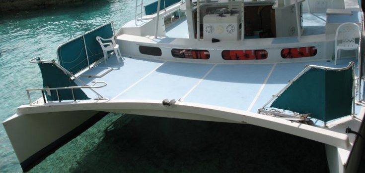 Party Cat Snorkeling Cruise