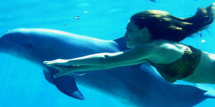 Signature Dolphin Swim image 1