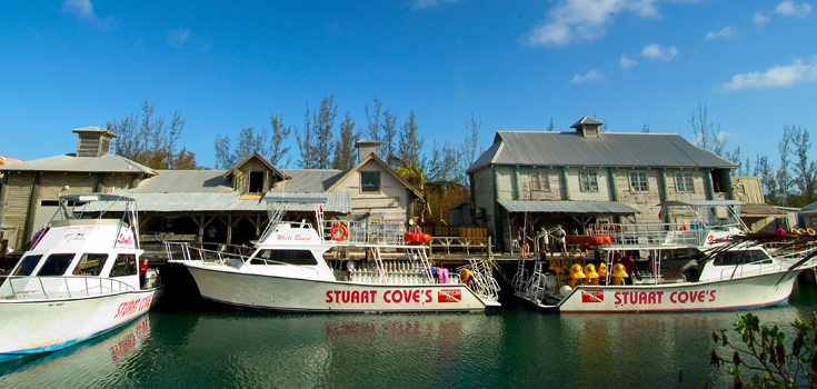 Stuarts Cove Multi Day Dive Package