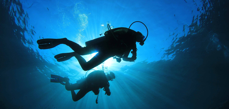 Bahama Divers Two Tank Morning Dive