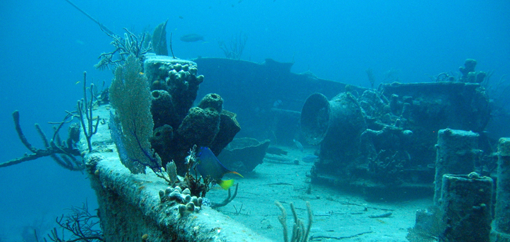 Bahama Divers Two Tank Morning Dive