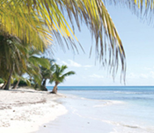 Deserted Island and Beach Adventure