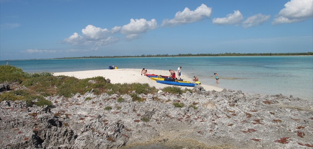 Peterson Cay Kayak and Snorkel Tour