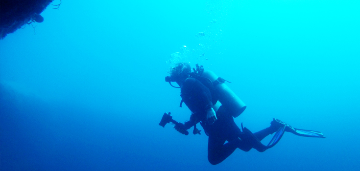 Bahama Divers Blue Hole Dive