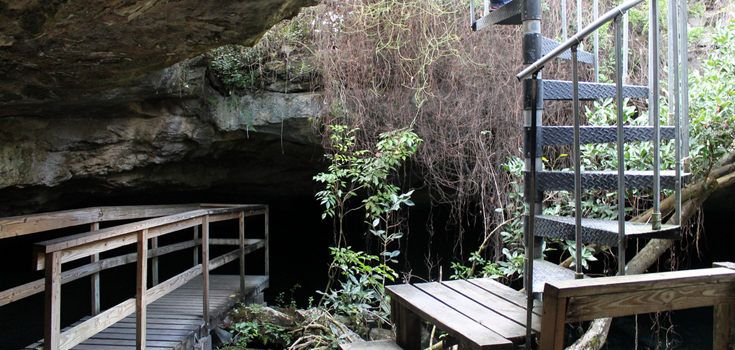 Lucayan National Park and Cave Tour