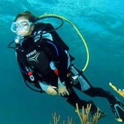 UNEXSO Discover Scuba Diving