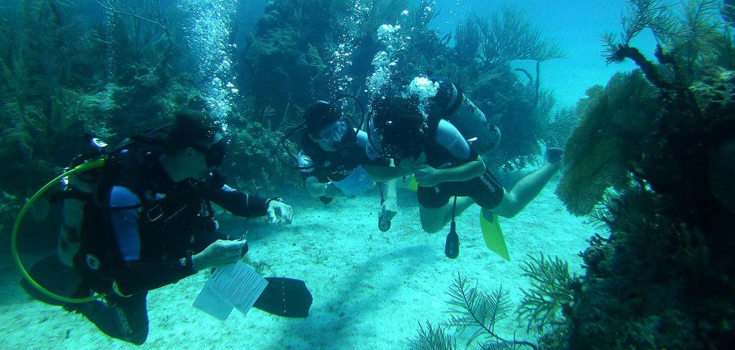 UNEXSO Resort Course Dive