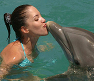 Freeport Dolphin Close Encounter