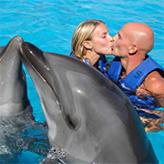UNEXSO Dolphin Swim