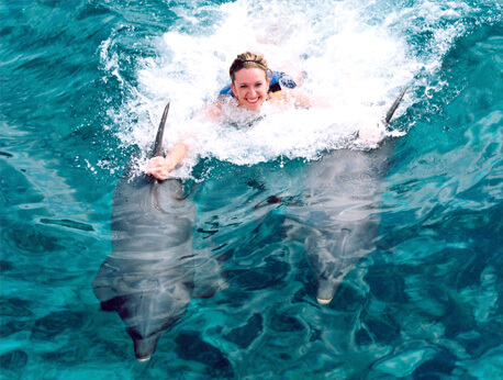 Puerto Vallarta - Private Dolphin Swim for Couples