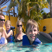 Private Dolphin Swim for Groups
