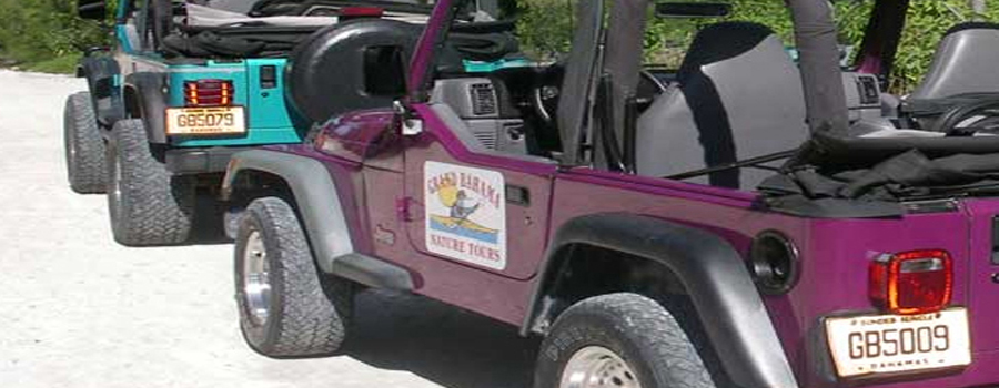 jeep tours freeport bahamas