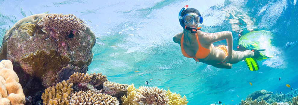 Key West Snorkeling Tours | Key West Visitor Guide